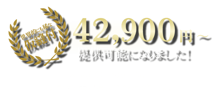 39,000円～ 提供可能になりました！ のコピー