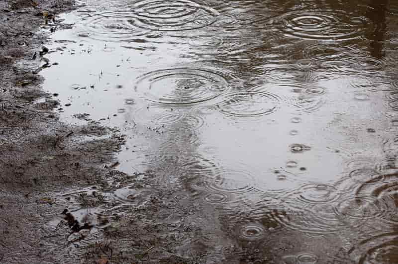 雨が多い季節は泥汚れに要注意！