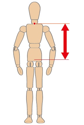 上着丈＜うわぎたけ＞
