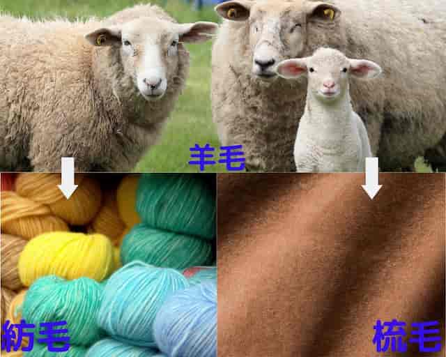 羊の毛から作られる素材の相関図