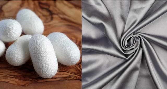 (左)カイコ (右)シルク生地のイメージ画像